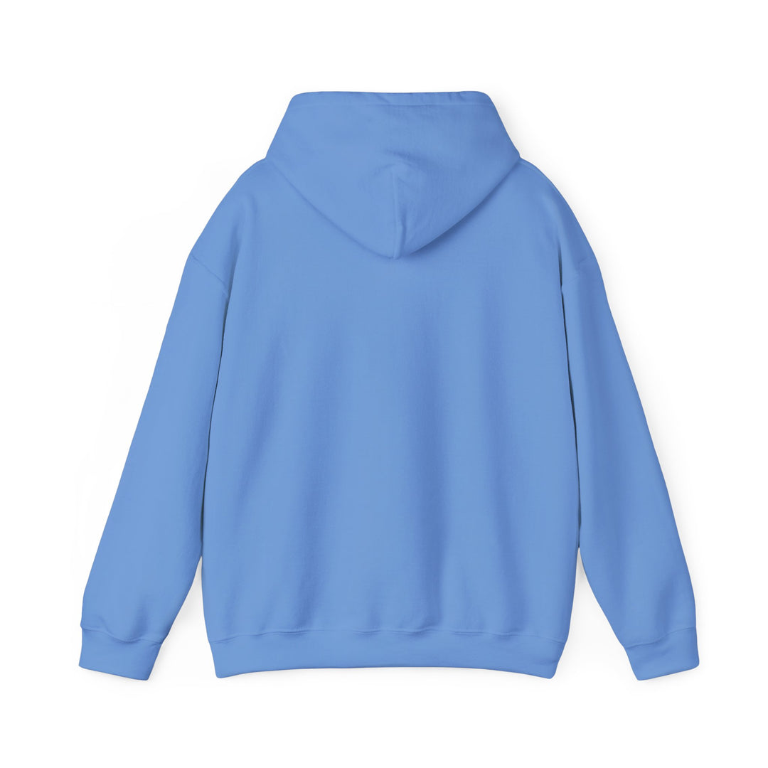 Unisex Heavy Blend™ Hooded Sweatshirt-Test, Guess, Repeat