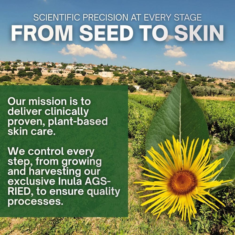 Sunflower with green leaf and text about plant-based skin care mission.
