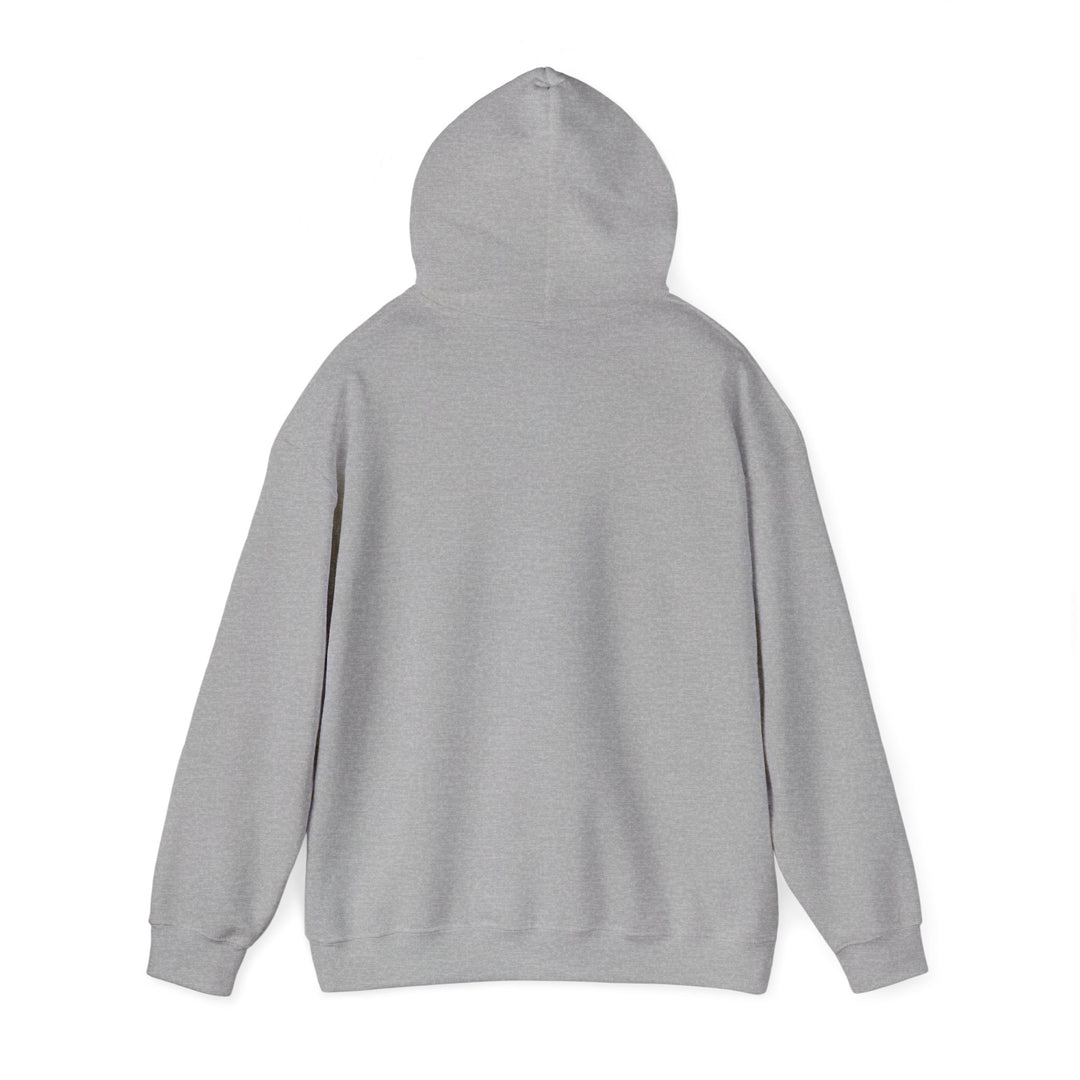Unisex Heavy Blend™ Hooded Sweatshirt-Test, Guess, Repeat